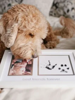 Best Friends Forever -kehys – Lapsi & Lemmikki