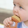Cherub Baby - Fresh Food Feeder vauvalle - Caramel/Mimosa