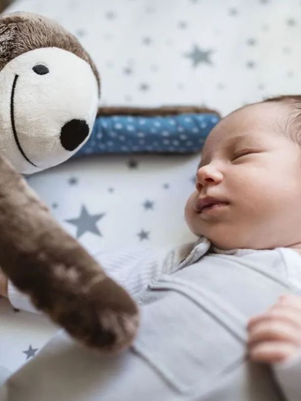 E-zzy laiskiainen kohinalaitteella ja unitoiminnoilla | WHISBEAR