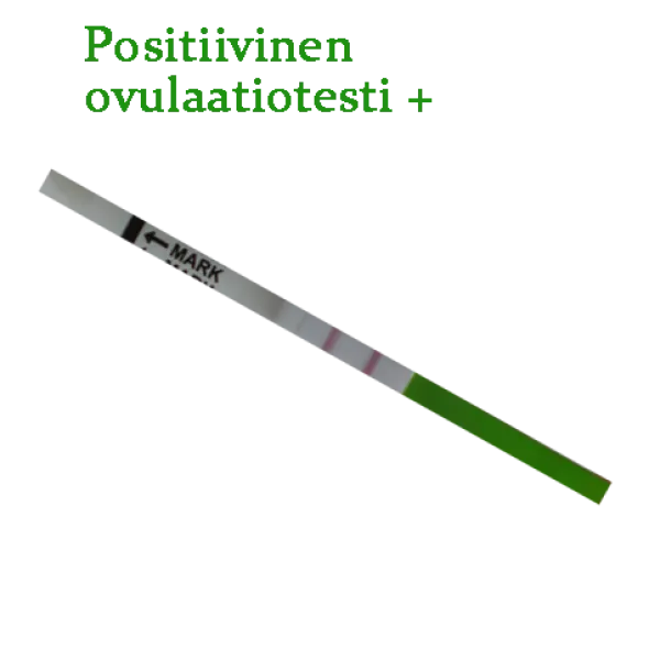 Ovulaatiotesti liuskat – Edullinen ja luotettava LH-ovulaatiotesti