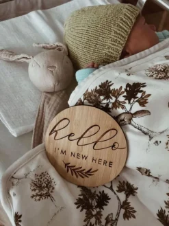 Puiset Milestone kuukausikortit vauvalle 0-12 kk, ENG
