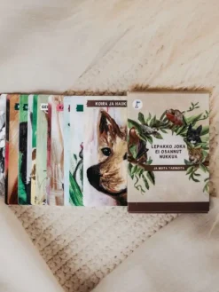 Satukortit - Lepakko, joka ei osannut nukkua